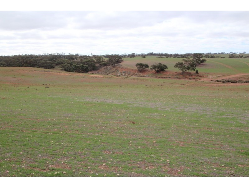Lot 401, Section 407, North Hills Road, Dutton SA 5356