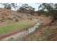 Lot 401 Section 401, North Hills Road, Dutton SA 5356