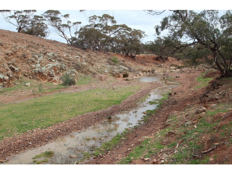 Lot 401 Section 401, North Hills Road, Dutton SA 5356