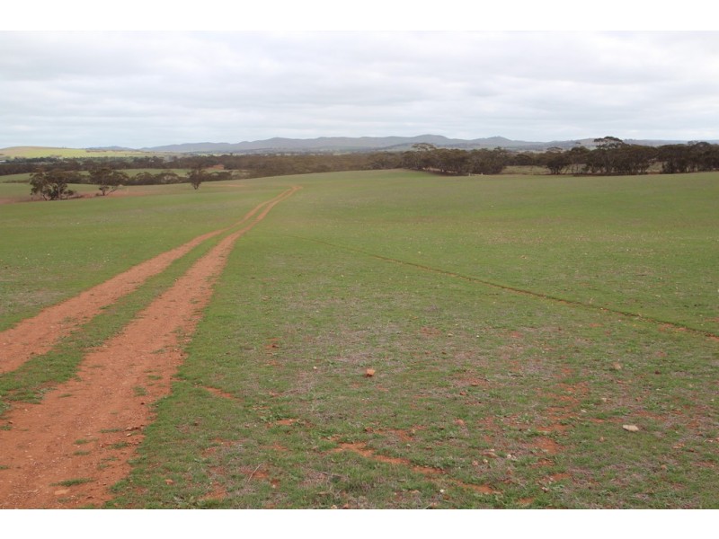 Lot 401 Section 401, North Hills Road, Dutton SA 5356