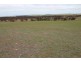 Lot 401 Section 401, North Hills Road, Dutton SA 5356