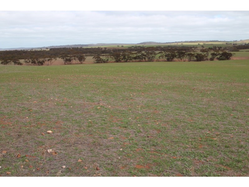 Lot 401 Section 401, North Hills Road, Dutton SA 5356