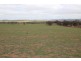 Lot 401 Section 401, North Hills Road, Dutton SA 5356