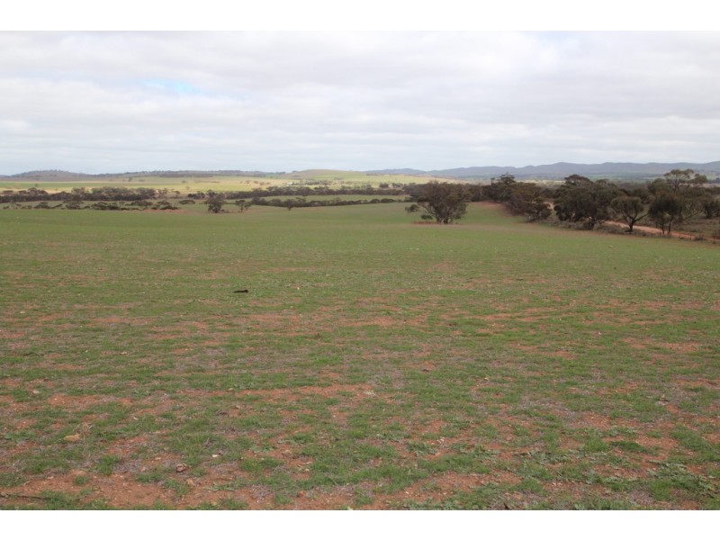 Lot 401 Section 401, North Hills Road, Dutton SA 5356