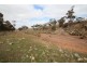 Lot 401 Section 401, North Hills Road, Dutton SA 5356