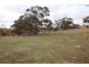 Lot 401 Section 401, North Hills Road, Dutton SA 5356