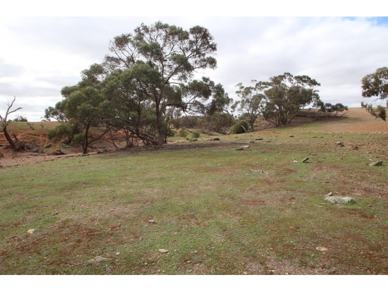 Lot 401 Section 401, North Hills Road, Dutton SA 5356