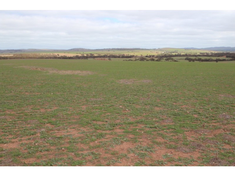 Lot 401 Section 401, North Hills Road, Dutton SA 5356