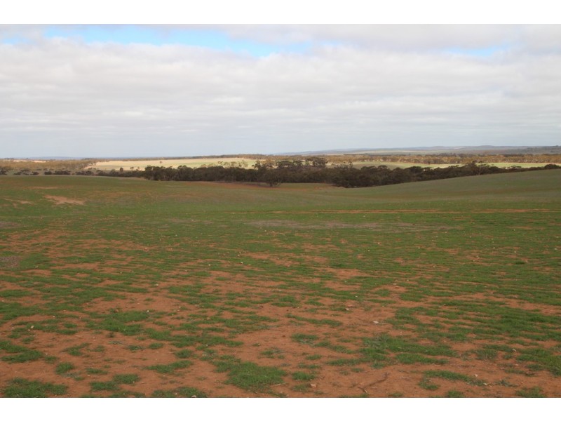 Lot 401 Section 401, North Hills Road, Dutton SA 5356