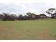 Lot 401 Section 401, North Hills Road, Dutton SA 5356