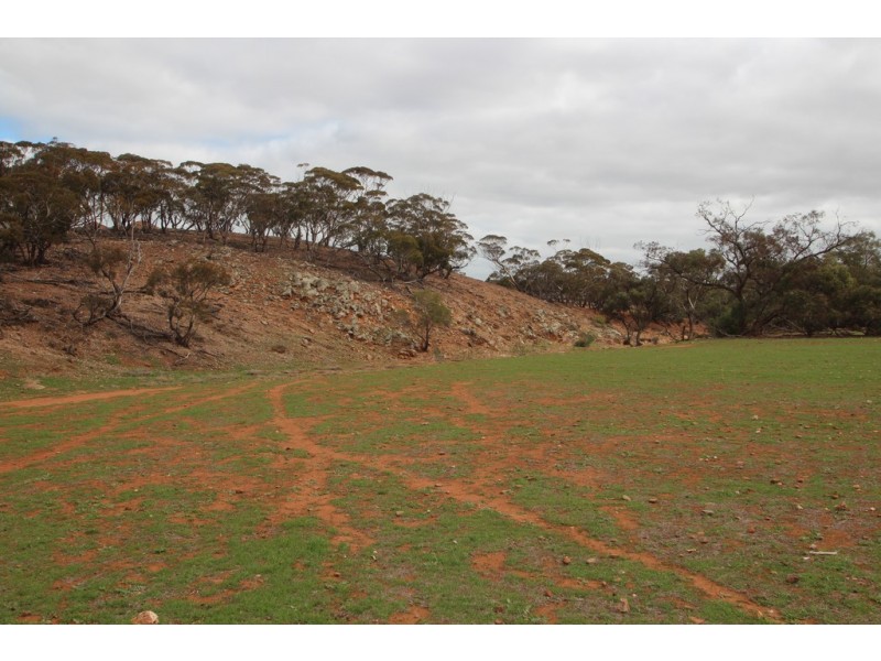 Lot 401 Section 401, North Hills Road, Dutton SA 5356