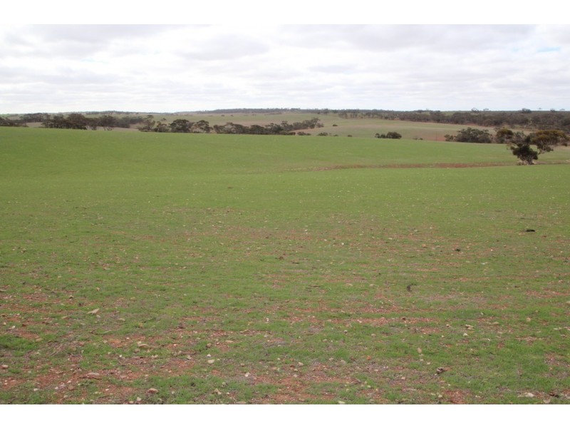 Lot 401 Section 401, North Hills Road, Dutton SA 5356