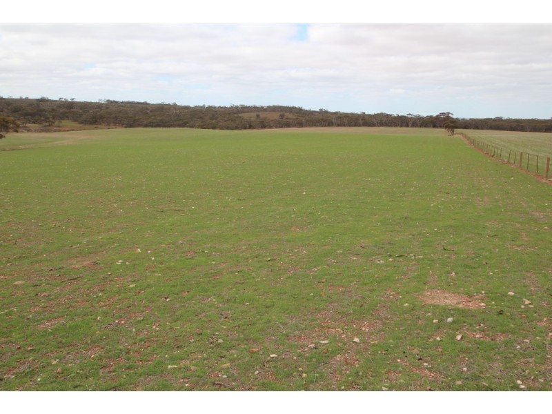 Lot 401 Section 401, North Hills Road, Dutton SA 5356