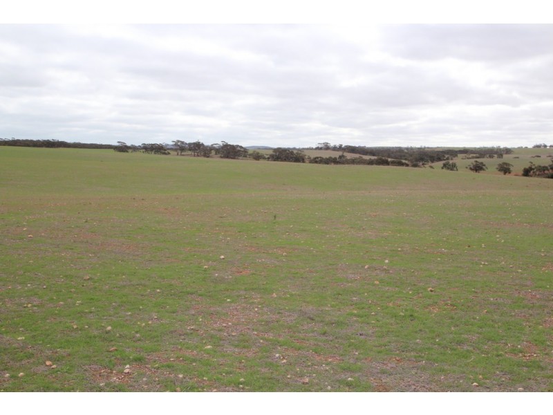 Lot 401 Section 401, North Hills Road, Dutton SA 5356