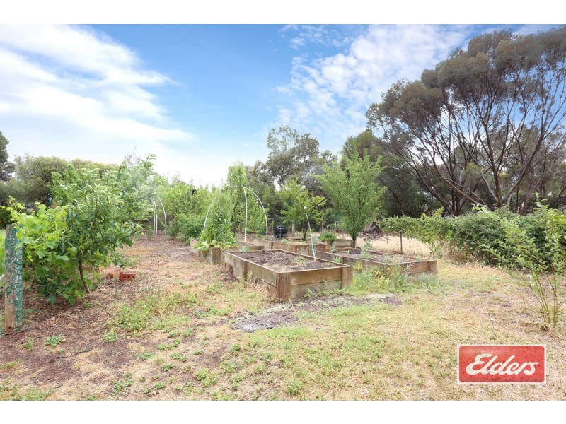 14 Wheatley Street, Kapunda SA 5373