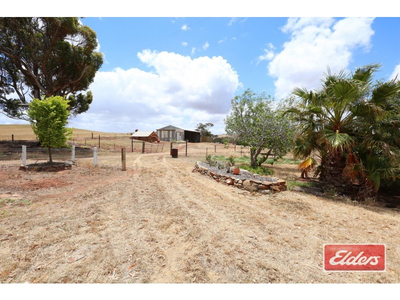 12 Killarney Road, Kapunda SA 5373