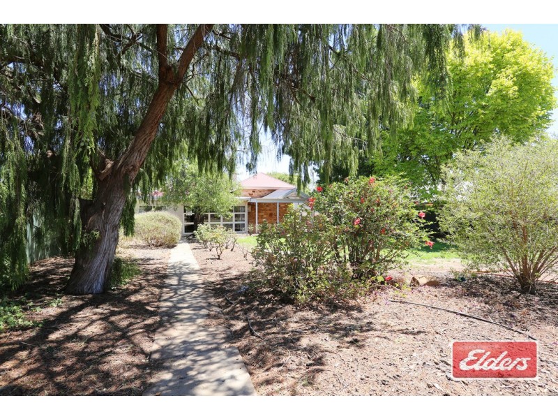 33 Mildred Street, Kapunda SA 5373
