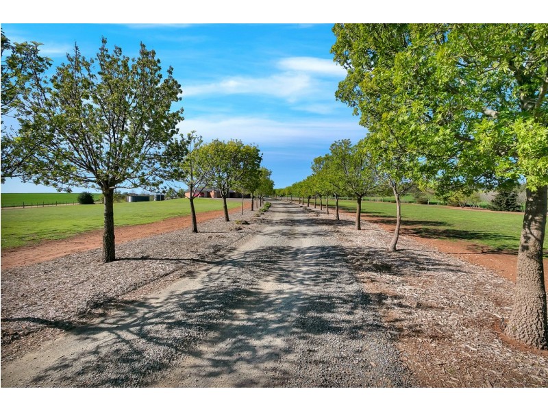175 Krieg Road, Seppeltsfield SA 5355
