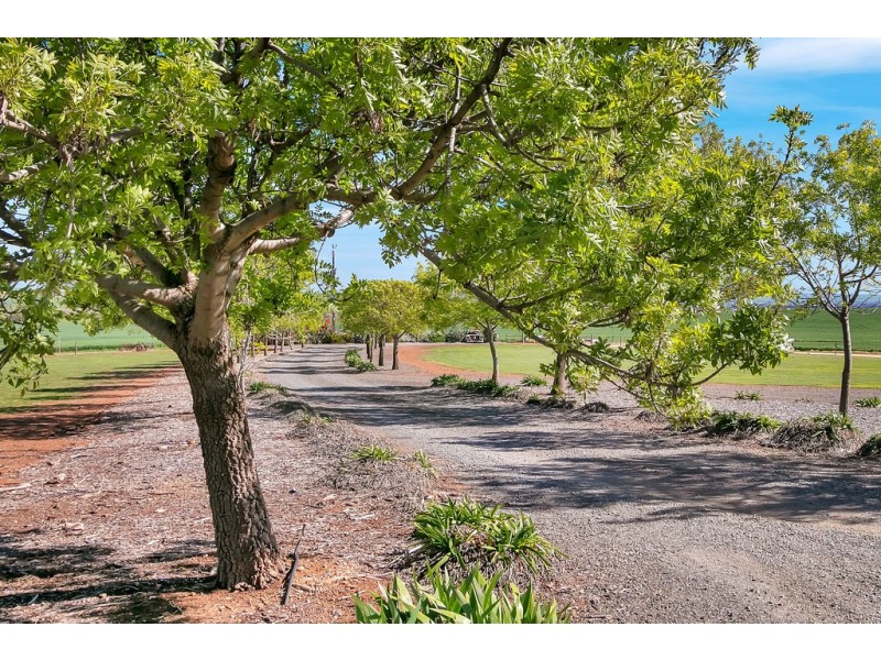 175 Krieg Road, Seppeltsfield SA 5355