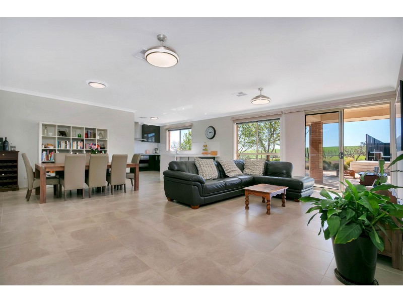 175 Krieg Road, Seppeltsfield SA 5355
