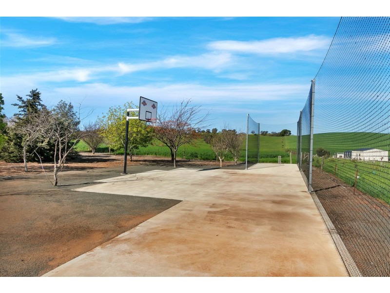 175 Krieg Road, Seppeltsfield SA 5355