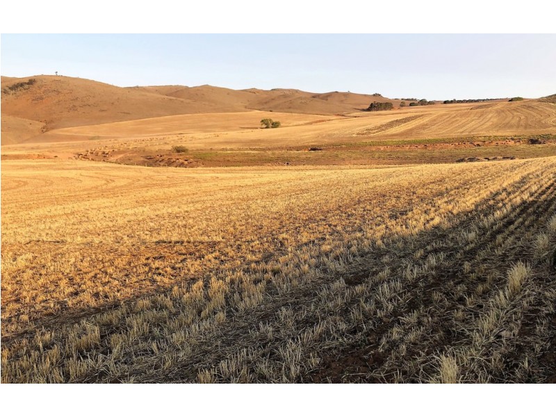 King John Road, Eudunda SA 5374