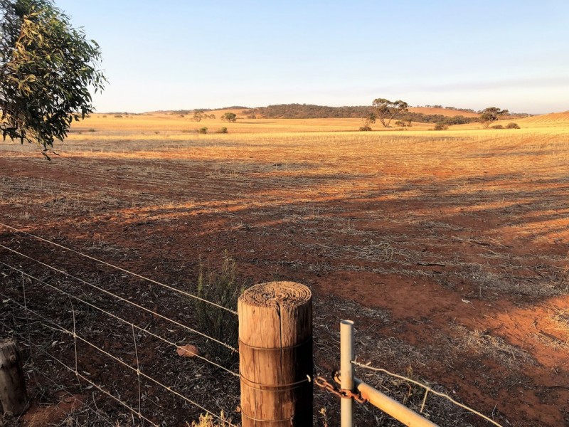 King John Road, Eudunda SA 5374