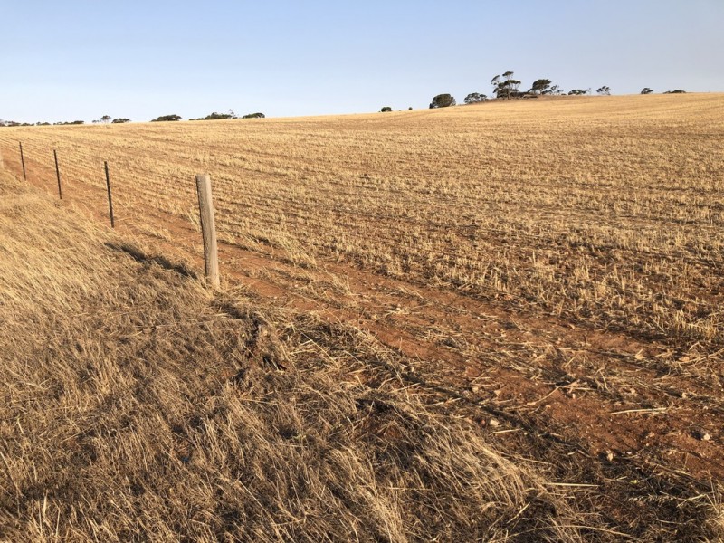 King John Road, Eudunda SA 5374
