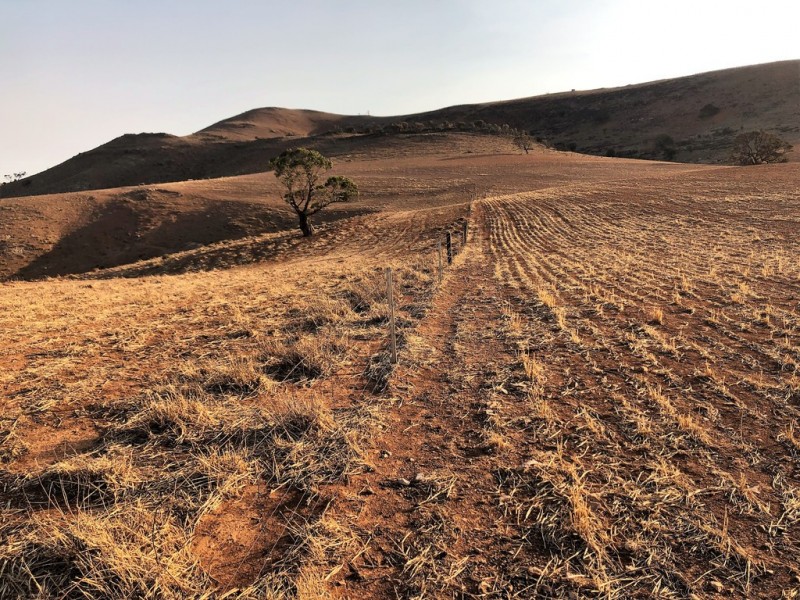 King John Road, Eudunda SA 5374