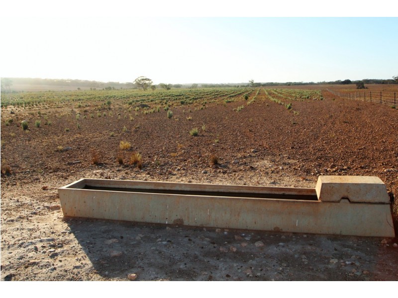 Lot 315 Bower Road, Australia Plains SA 5374