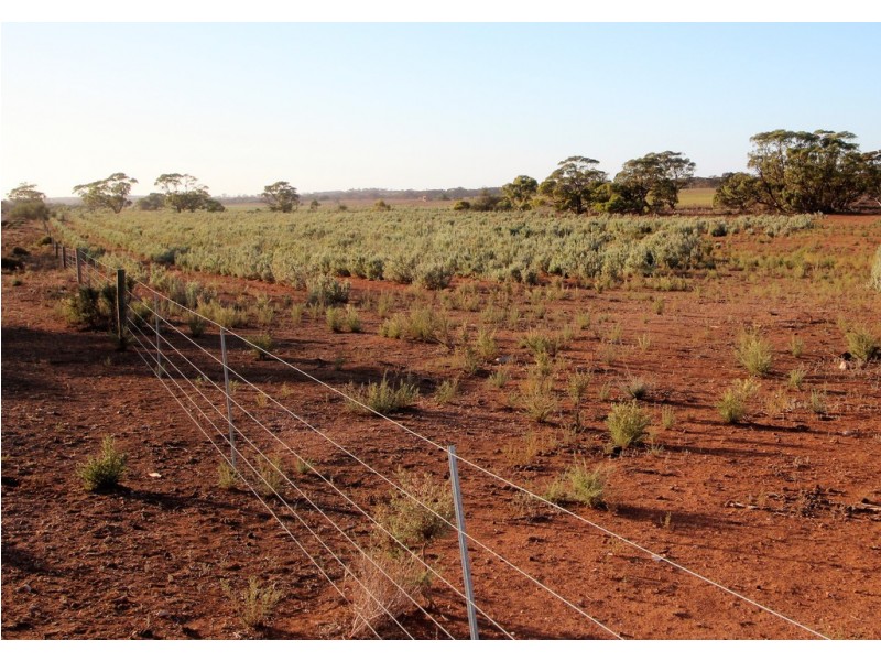 Lot 315 Bower Road, Australia Plains SA 5374