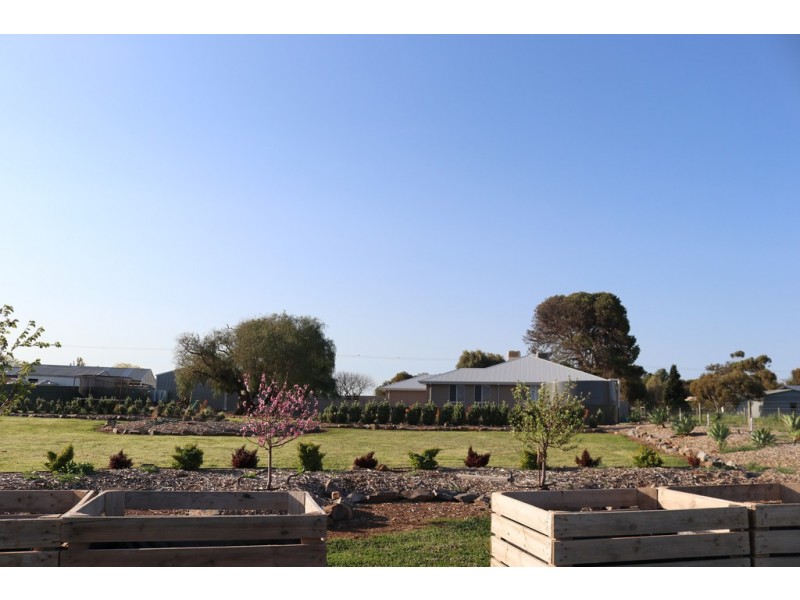 23 Schaefer Street, Freeling SA 5372