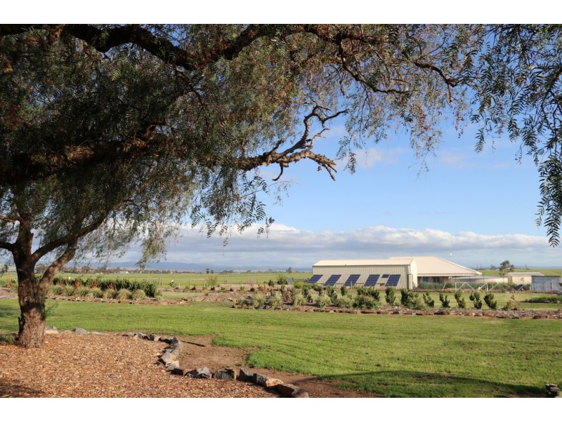 23 Schaefer Street, Freeling SA 5372