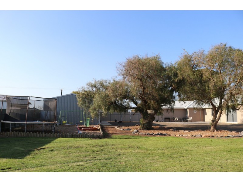 23 Schaefer Street, Freeling SA 5372