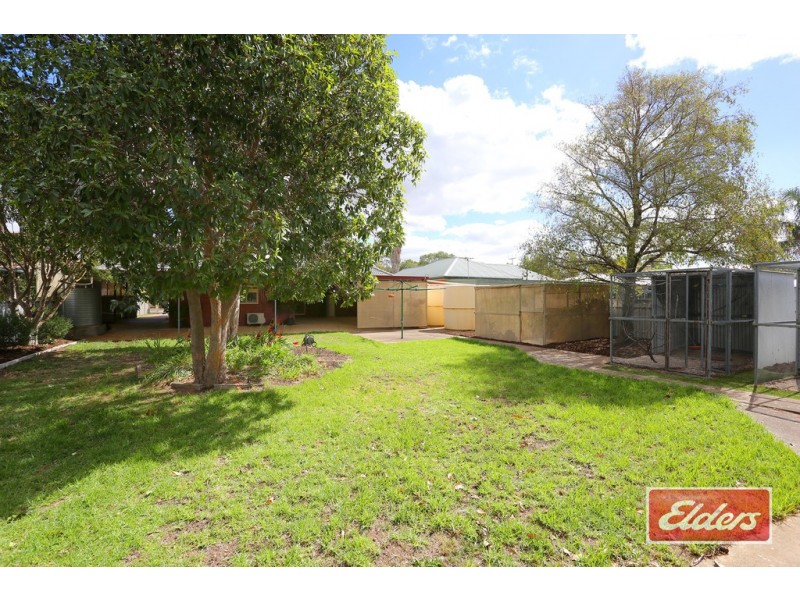 21 Para Avenue, Nuriootpa SA 5355