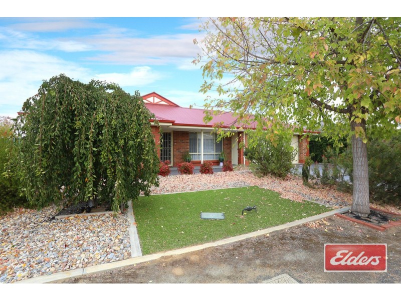 17 Benney Street, Nuriootpa SA 5355