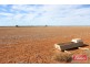 94 Robertson Road, Towitta SA 5353