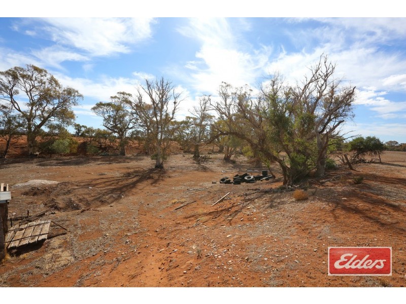 94 Robertson Road, Towitta SA 5353