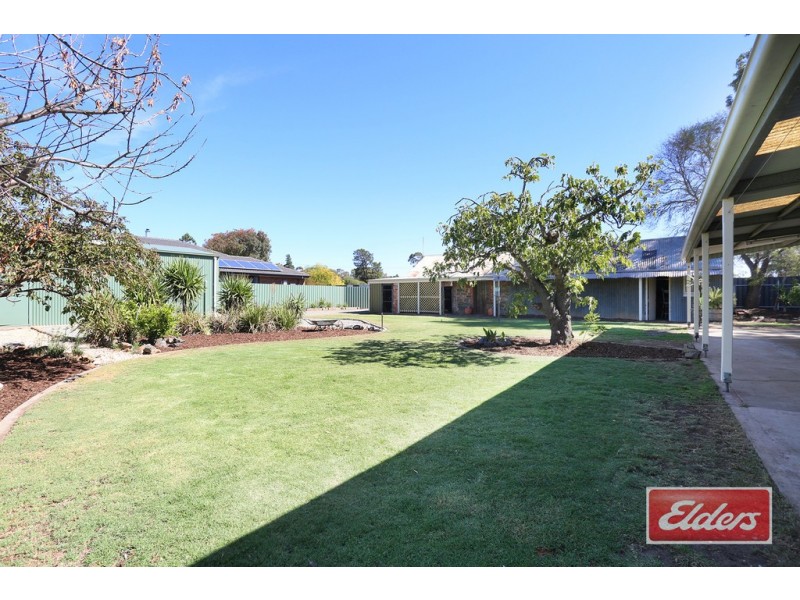 3 Samuel Road, Nuriootpa SA 5355