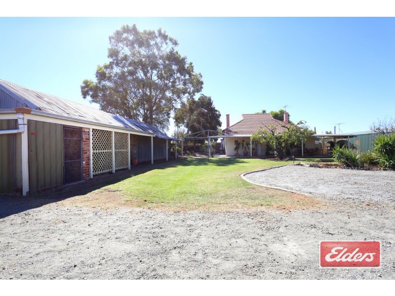 3 Samuel Road, Nuriootpa SA 5355