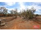 94 Robertson Road, Towitta SA 5353
