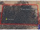 Lot 216 Mount Mary Road, Steinfeld SA 5356
