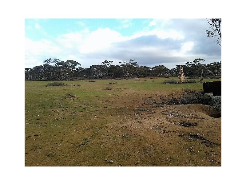 Lot 216 Mount Mary Road, Steinfeld SA 5356