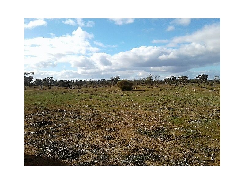 Lot 216 Mount Mary Road, Steinfeld SA 5356