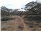Lot 216 Mount Mary Road, Steinfeld SA 5356