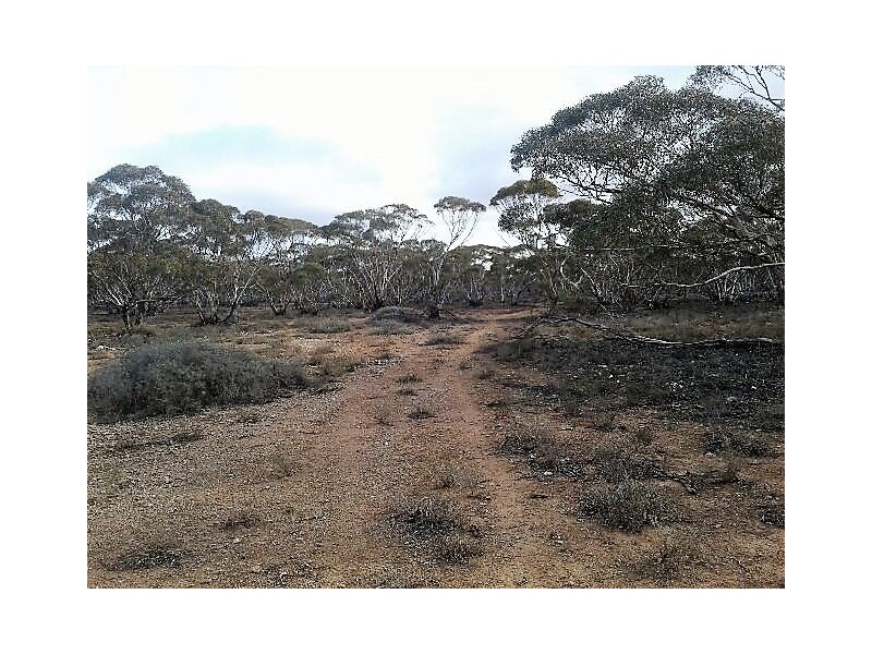 Lot 216 Mount Mary Road, Steinfeld SA 5356
