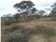 Lot 216 Mount Mary Road, Steinfeld SA 5356