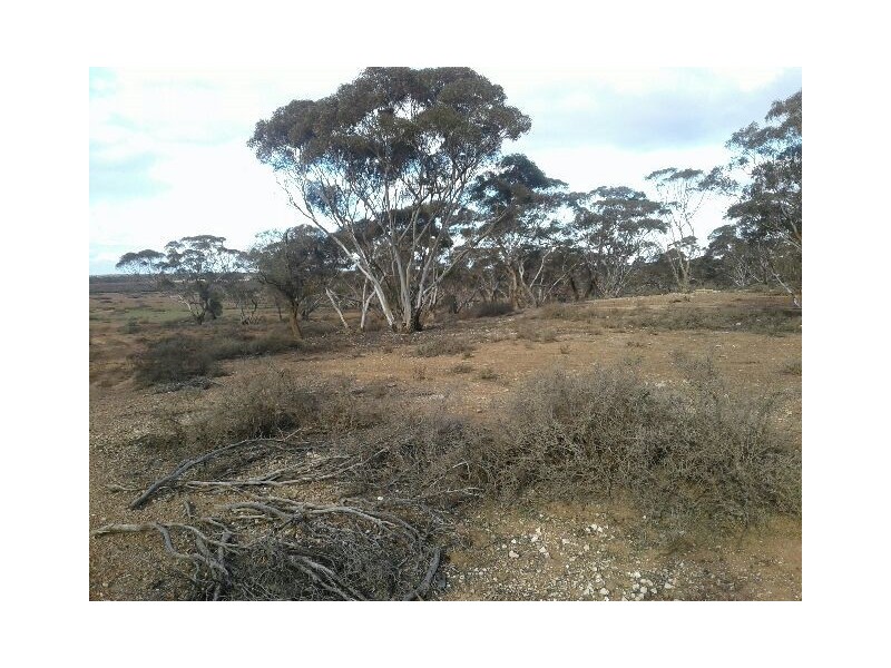 Lot 216 Mount Mary Road, Steinfeld SA 5356