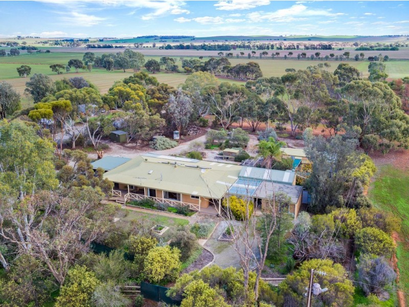 101 Goodfellow Road, Bagot Well SA 5373
