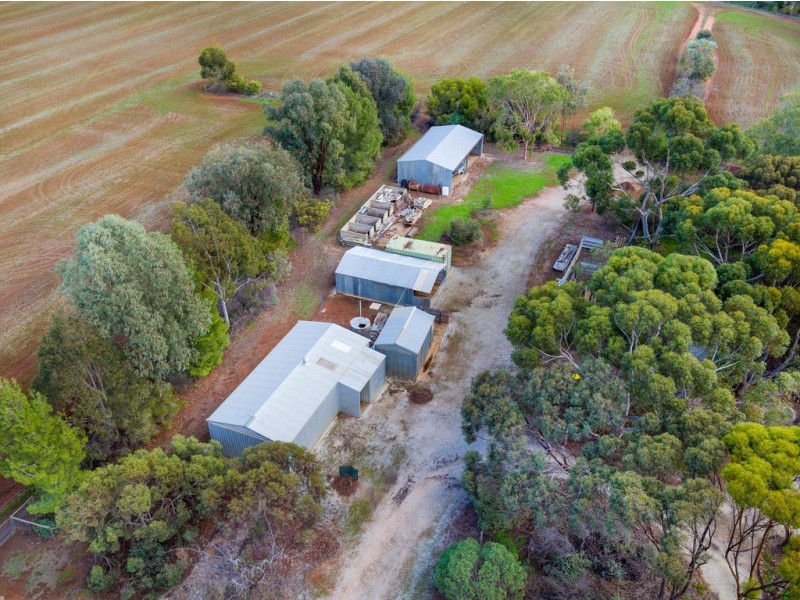 101 Goodfellow Road, Bagot Well SA 5373